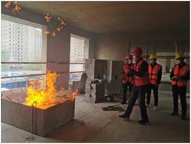 1585648803962187.jpg 3.jpg