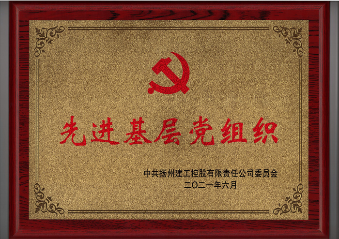 21.06先進(jìn)基層黨組織（獎(jiǎng)牌）_副本.jpg